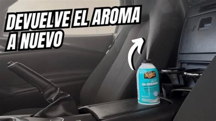 Como Quitar El Olor A Zorrillo Del Carro