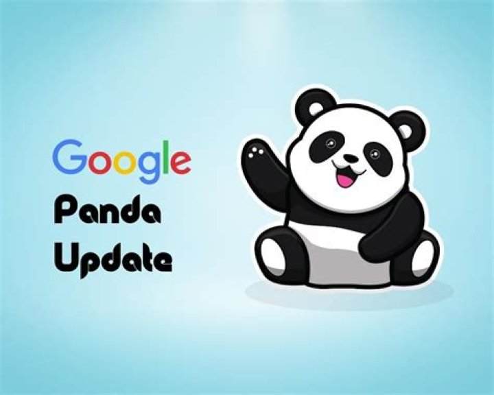 Google Panda (google's Panda Update)