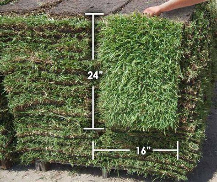 How Much Does A Pallet Of Grass Weigh