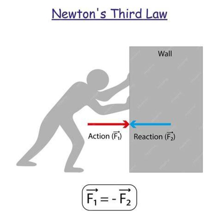 Newton (N) - How To Discuss
