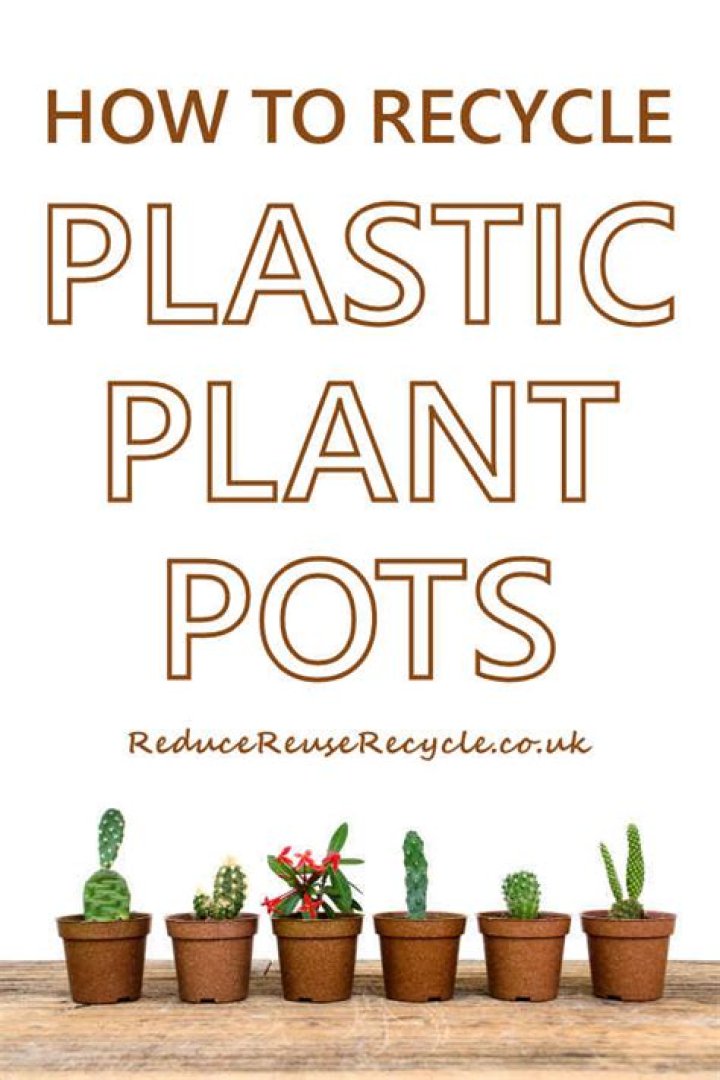 Plastic plant pots - How To Discuss